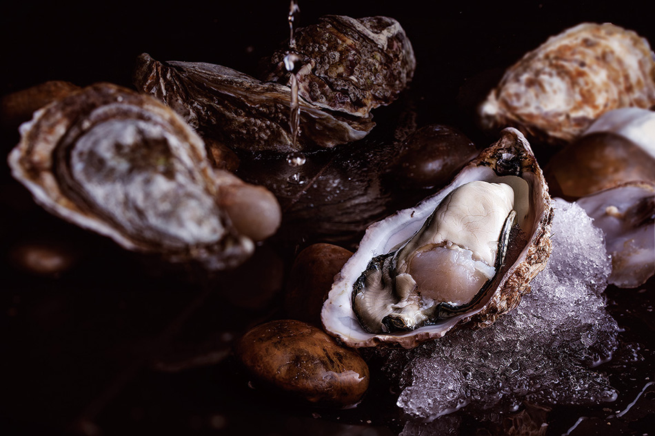 千歲融合，日本壽司+法式鐵板燒，北辰品牌設(shè)計(jì)