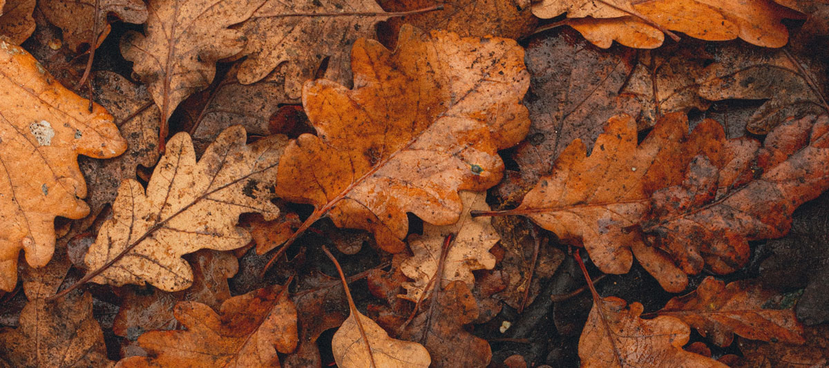 餐飲品牌形象設(shè)計公司 餐飲品牌形象設(shè)計公司