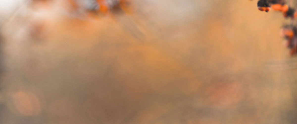 深圳包裝設(shè)計(jì)公司