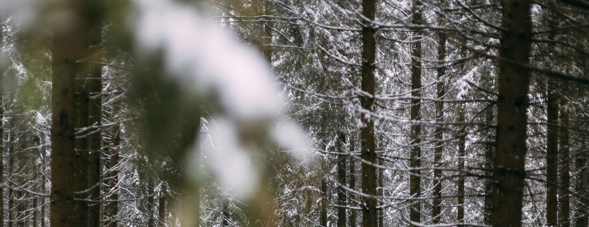 品牌設(shè)計(jì)公司