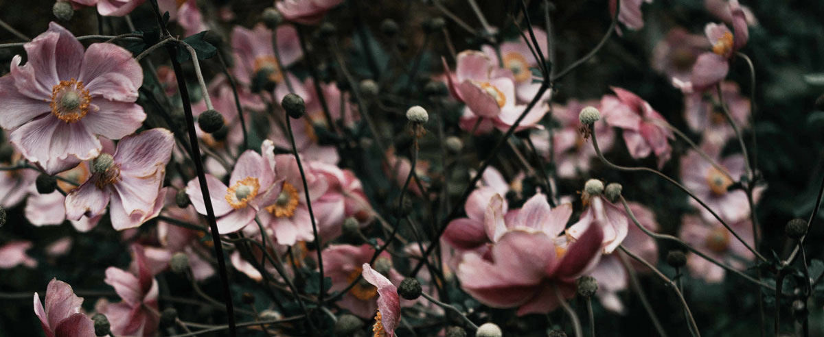 品牌全案設(shè)計(jì)公司