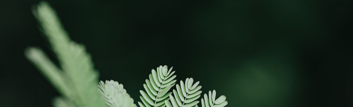 深圳平面設計公司 深圳平面設計公司