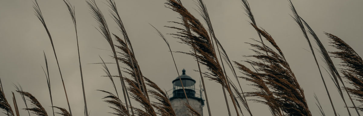 深圳食品包裝設(shè)計
