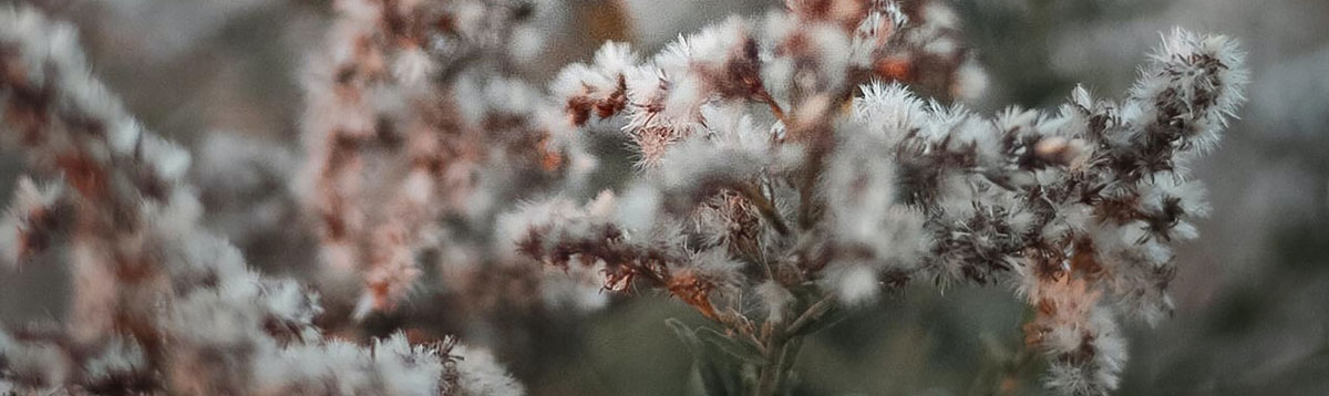 品牌策劃設(shè)計(jì)公司