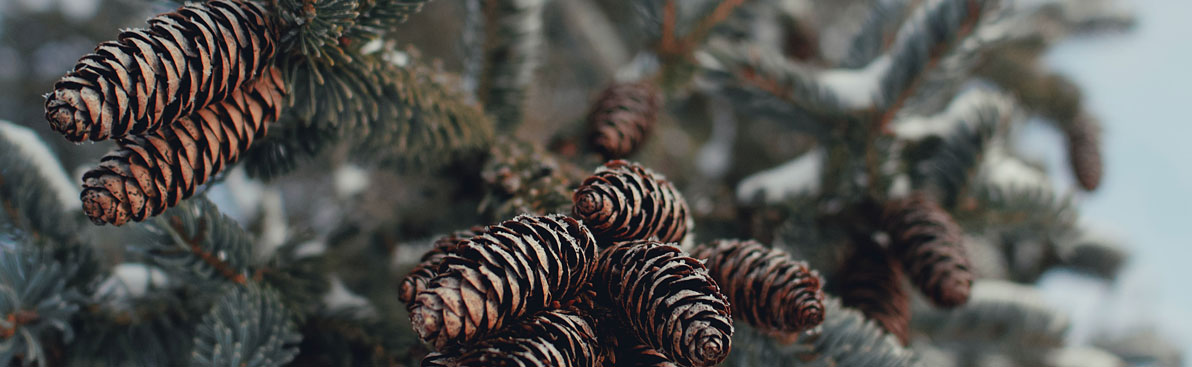 深圳平面設(shè)計公司 深圳平面設(shè)計公司