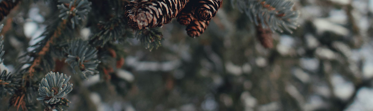 深圳平面設(shè)計公司 深圳平面設(shè)計公司