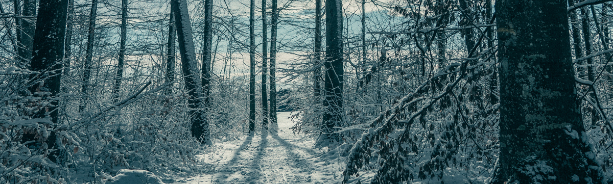 品牌策劃設(shè)計(jì)公司