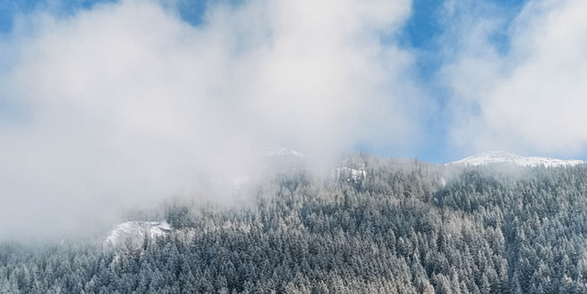 品牌策略全案設(shè)計(jì)