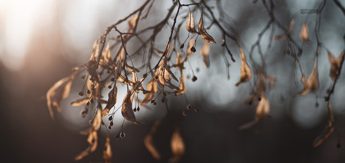 深圳品牌設(shè)計(jì)