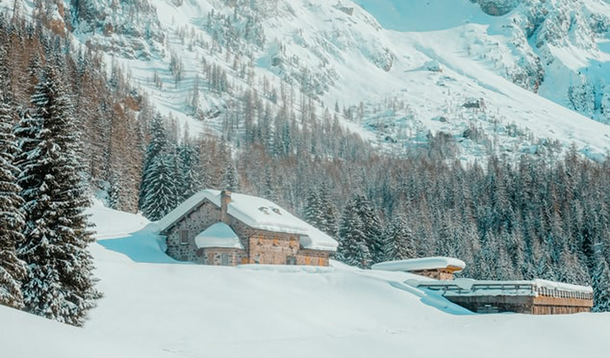 品牌設(shè)計(jì)公司 品牌設(shè)計(jì)公司