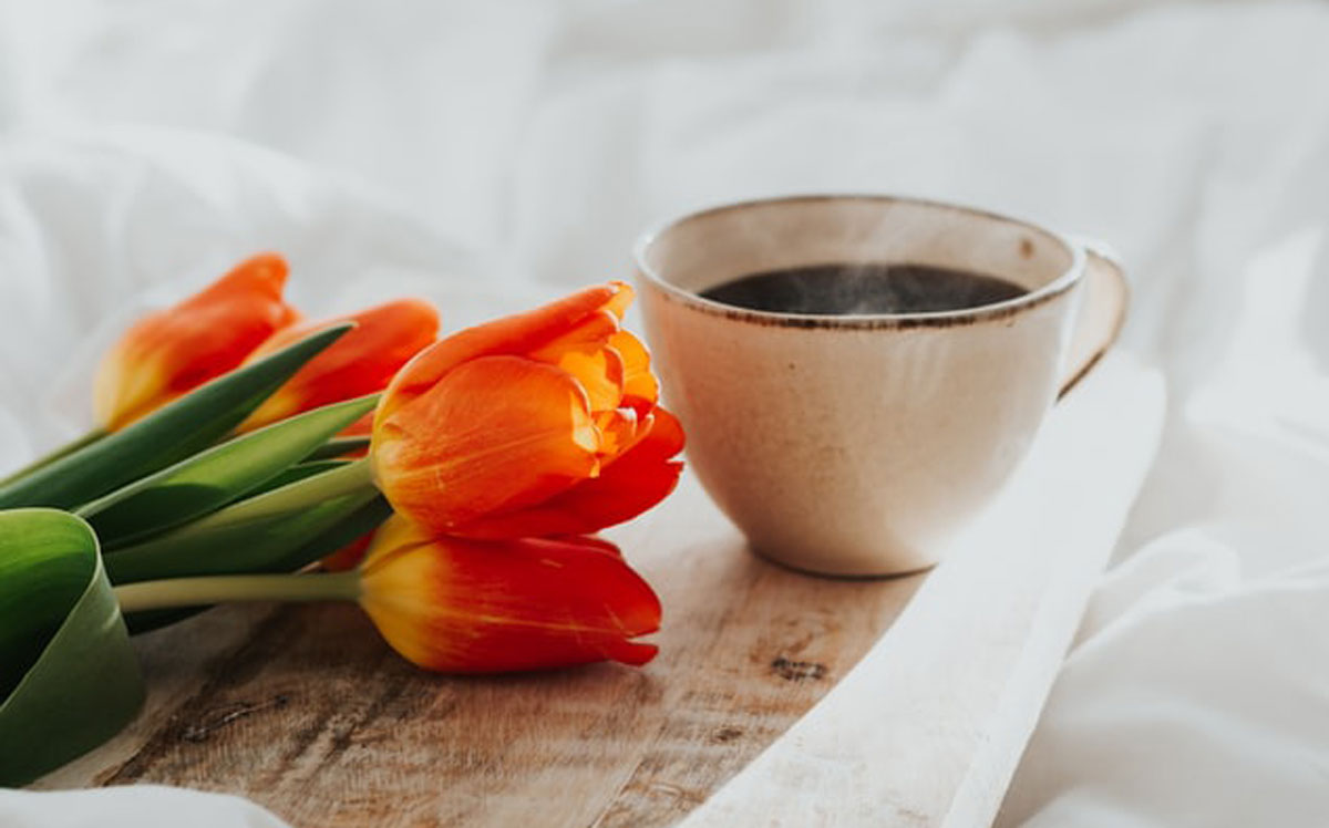 品牌設(shè)計公司 品牌設(shè)計公司