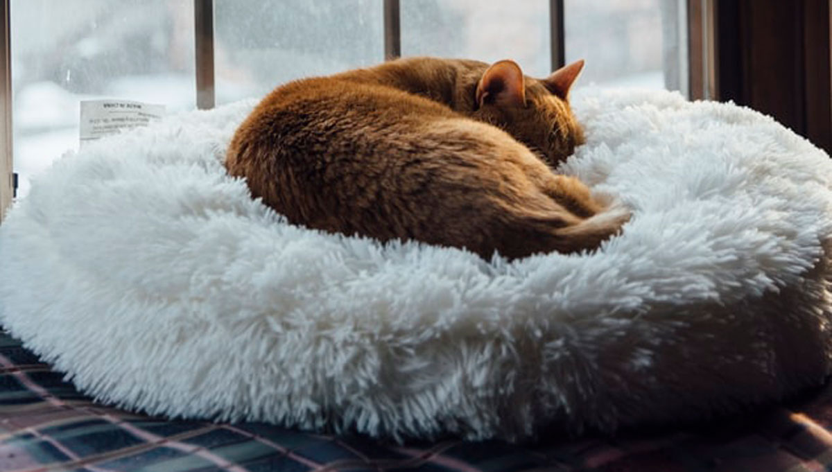 產(chǎn)品形象包裝設計 產(chǎn)品形象包裝設計