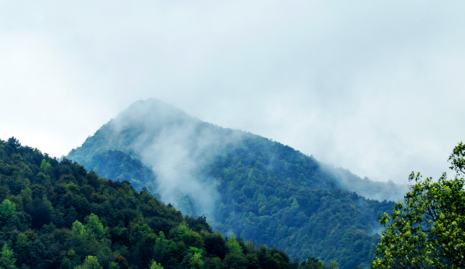 be37fa71378e09cd18f335c17ba515be1621589051.jpg 26.jpg