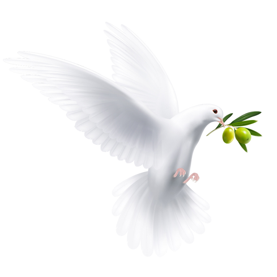 5ab1cf85a755a9d385273b9b3c1225c11622725914.jpg 主視覺(jué)——方形.jpg